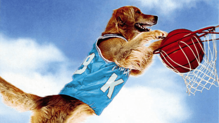 airbud jersey