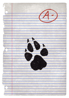 airbud paper