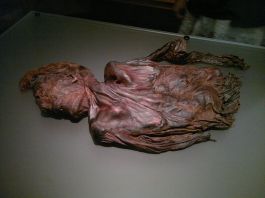 800px-Bog-body_Clonycavan-Man