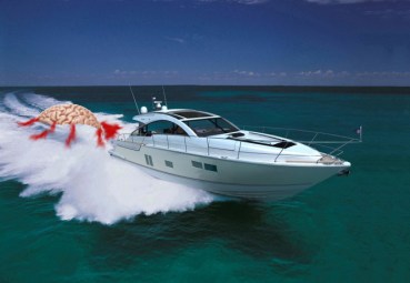 brain motorboat